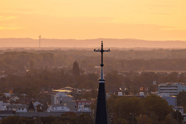 Sonnenaufgang über Neustadt