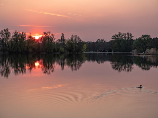 Sonnenaufgang am Niederwiesenweiher