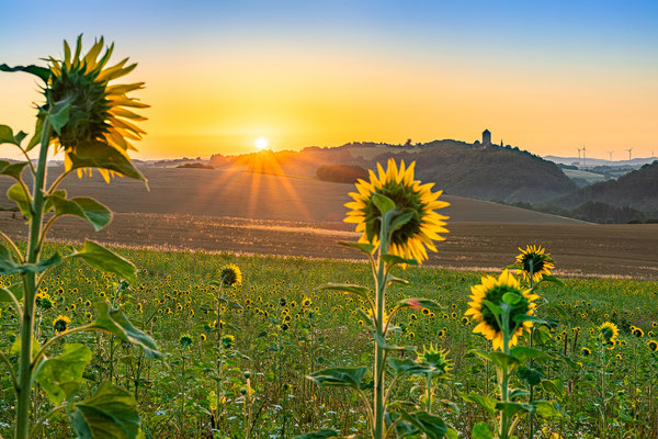 Sonnenaufgang an der Burg Lichtenberg