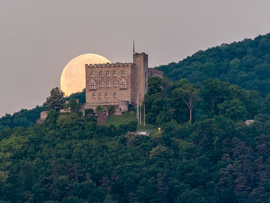 Vollmonduntergang hinter dem Hambacher Schloss