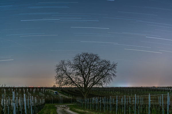 Startrails (Sternspuren) bei Duttweiler