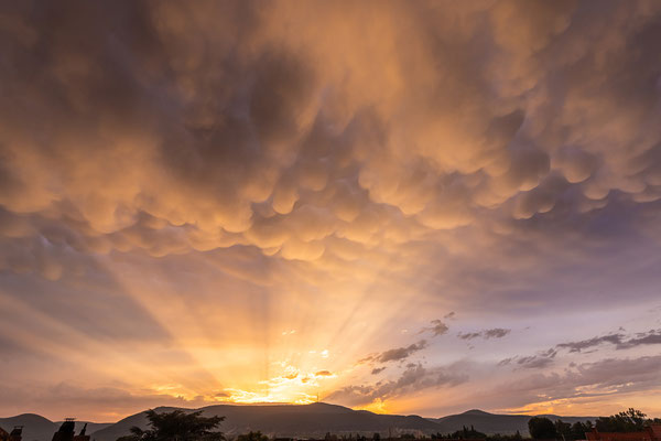 Selten so gut zu sehende Mammatus-Wolken über Neustadt