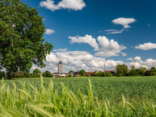 Frühsommer bei Lachen-Speyerdorf
