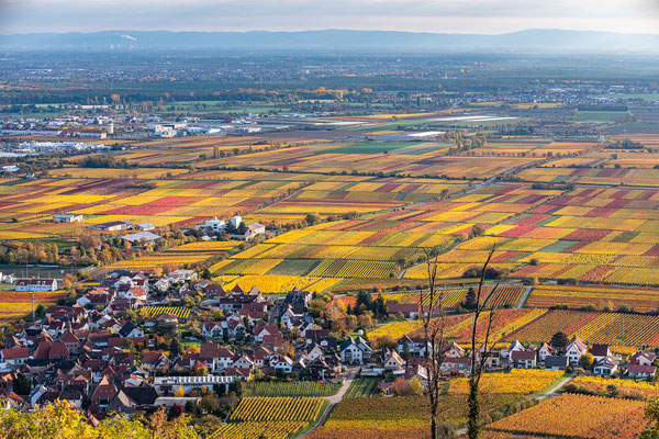 Herbstmorgen am Hambacher Schloss
