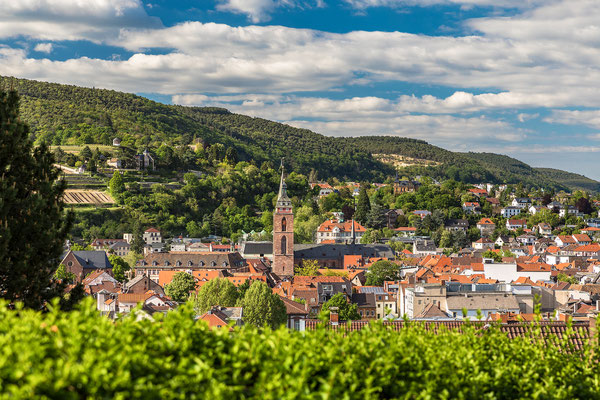 Aussichten auf Neustadt