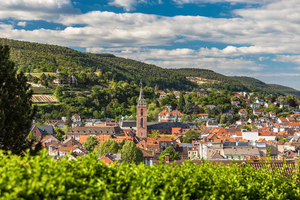 Aussichten auf Neustadt