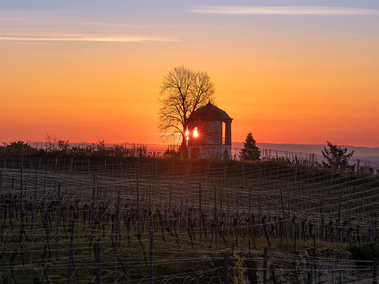 Sonnenaufgang am Deidesheimer Tempel