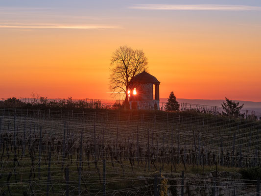Sonnenaufgang am Deidesheimer Tempel