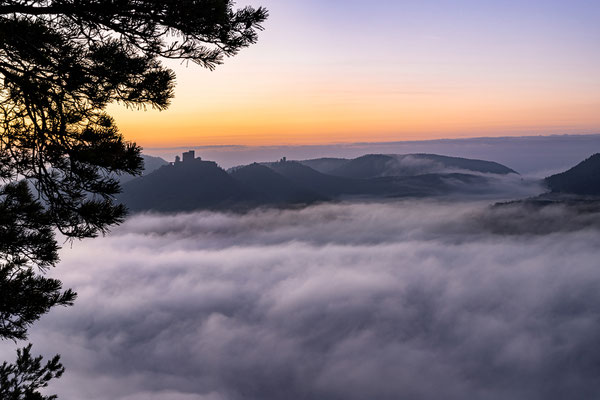 Herbstnebel am Sommerfels