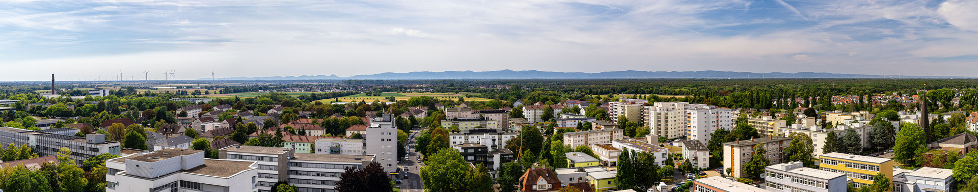 Über den Dächern von Speyer ...
