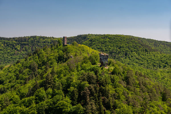 Die Nachbarburgen Anebos und Scharfenberg