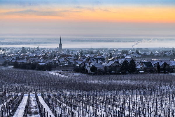 Wintermorgen bei Maikammer