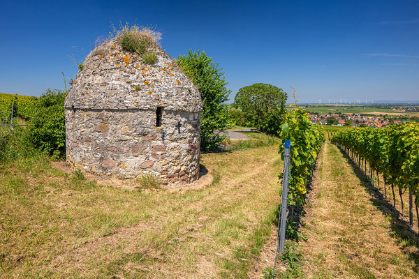Weinbergstrullo bei Bockenheim