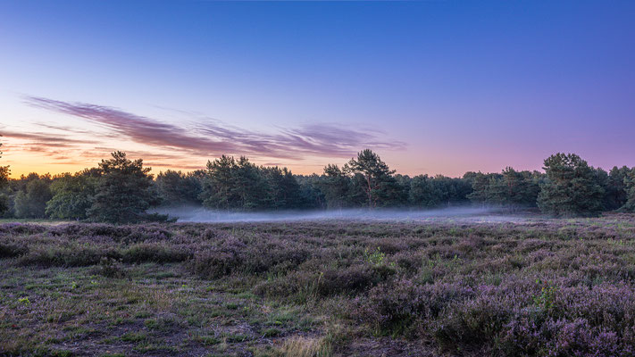 Mehlinger Heide