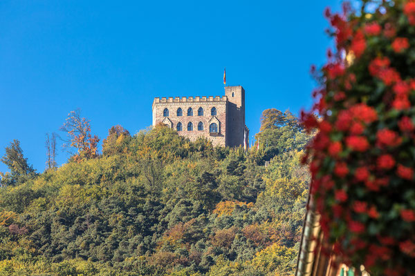 Blick aufs Hambacher Schloss von der Schlossstraße aus