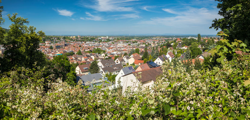 Ausblicke auf Neustadt