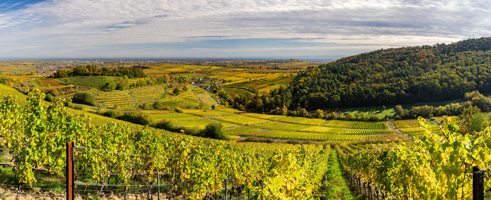Herbstblicke bei Birkweiler