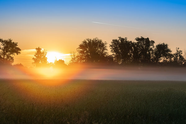 Früher Morgen in Geinsheims Wiesen