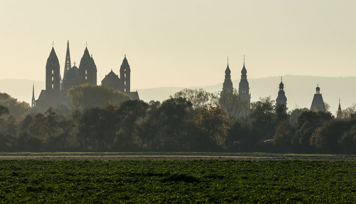 Sonnenuntergang hinter Speyerer Dom und Gedächtniskirche