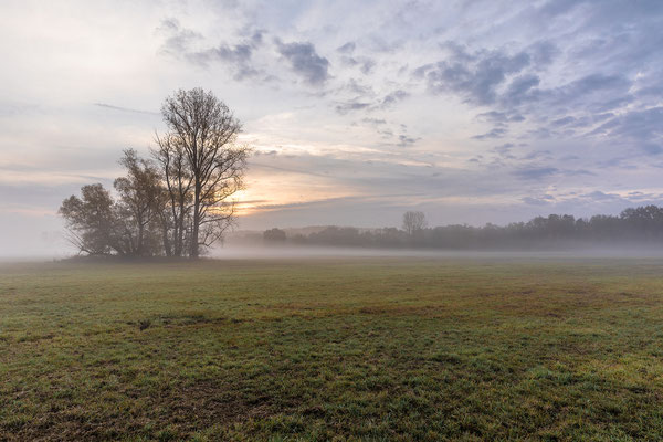 Herbstmorgen in den Lochbuschwiesen