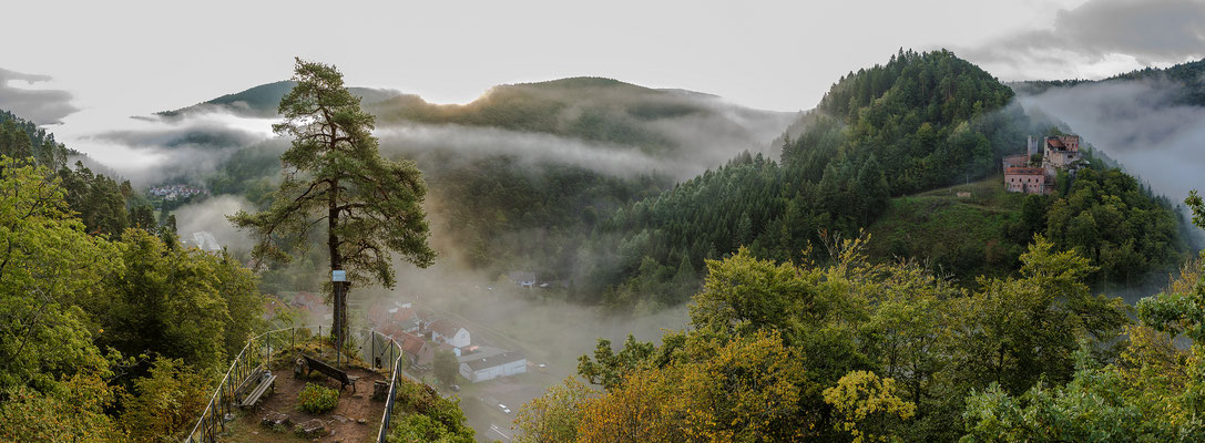 Morgennebel über der Burg Spangenberg