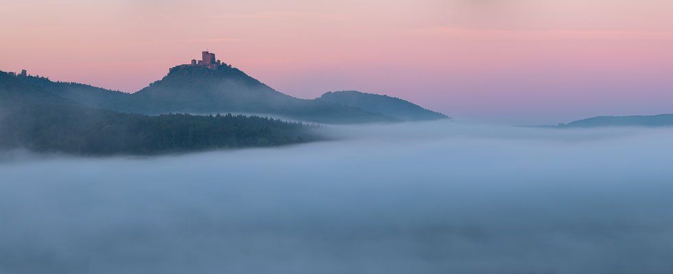 Blick zum Trifels an einem Nebelmorgen