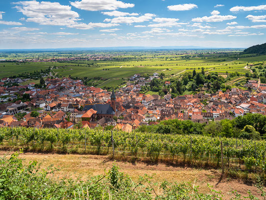 Aussicht auf Sankt Martin und die Rheinebene