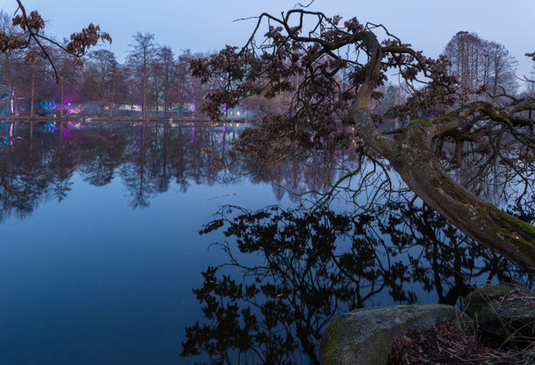 Luisenpark Mannheim in der Nacht