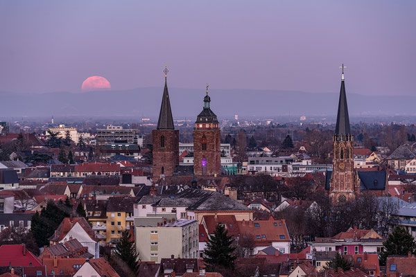 Vollmondaufgang über Neustadt