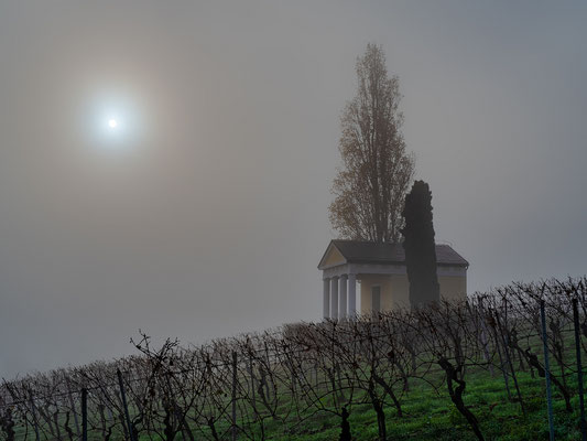 Herbstnebel bei Maikammer