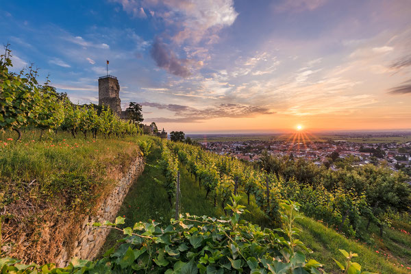 Sonnenaufgang auf der Wachtenburg