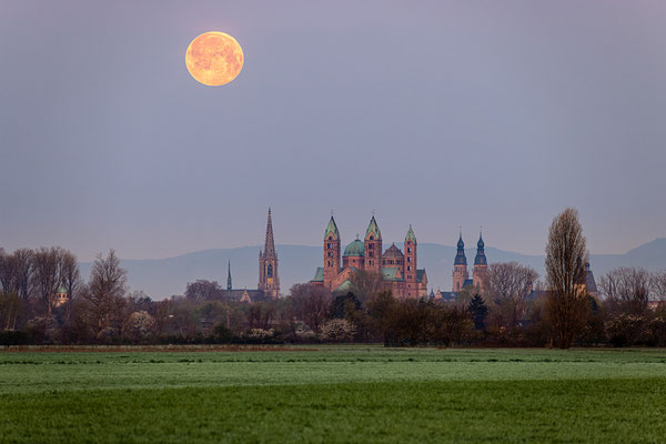 Vollmonduntergang hinter Speyers Kirchen