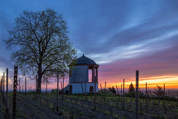 Sonnenaufgang über Neustadt