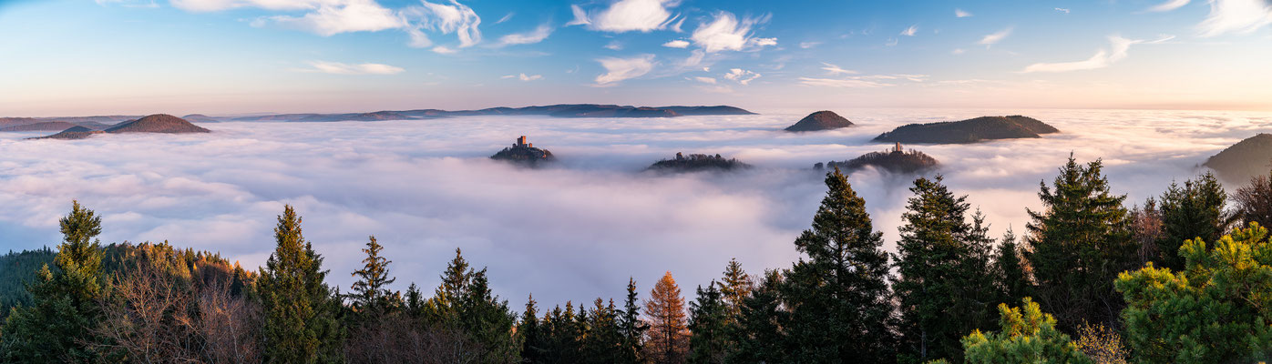 Nebelmorgen am Rehbergturm