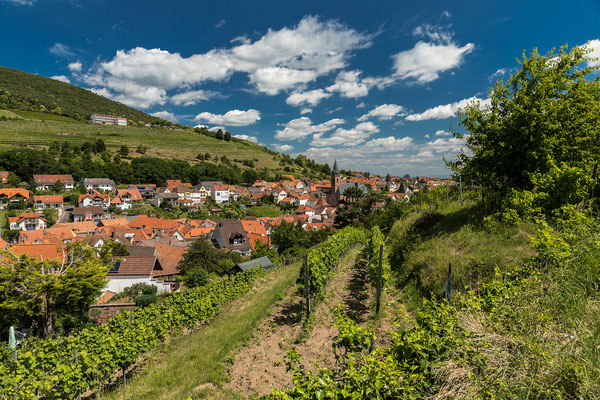 Ausblick auf Sankt Martin