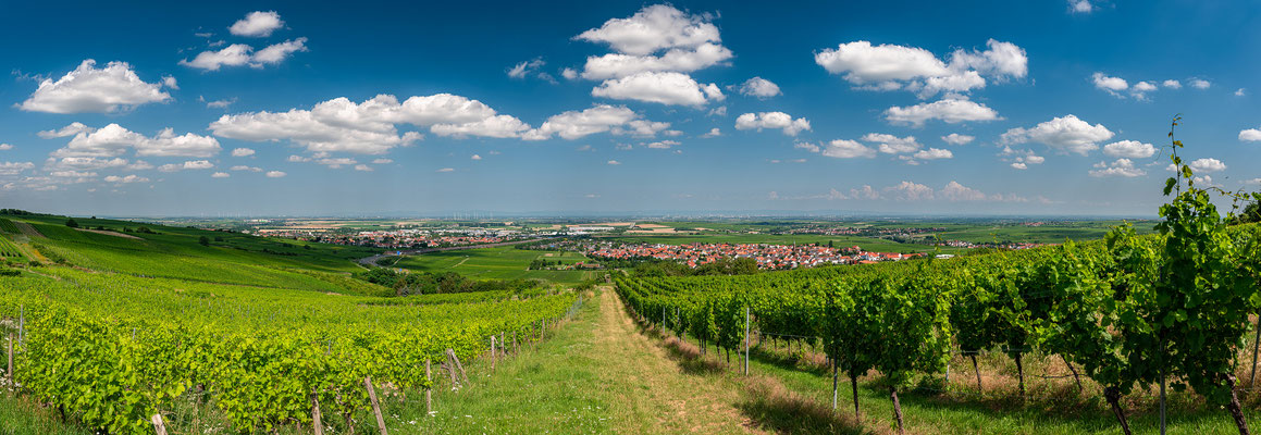 Ausblicke auf Grünstadt