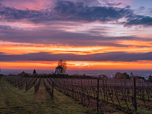Sonnenaufgang oberhalb von Neustadt
