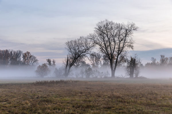 Herbstmorgen in den Lochbuschwiesen