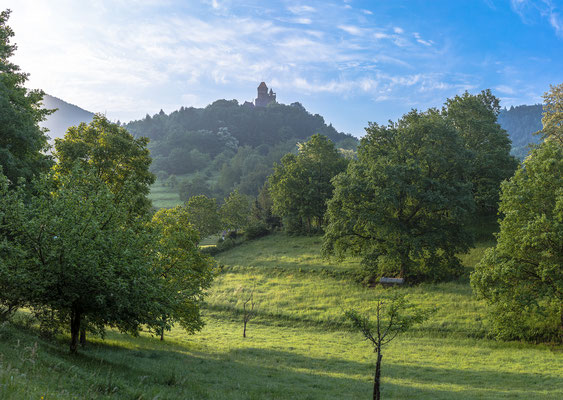 Blick auf Burg Berwartstein