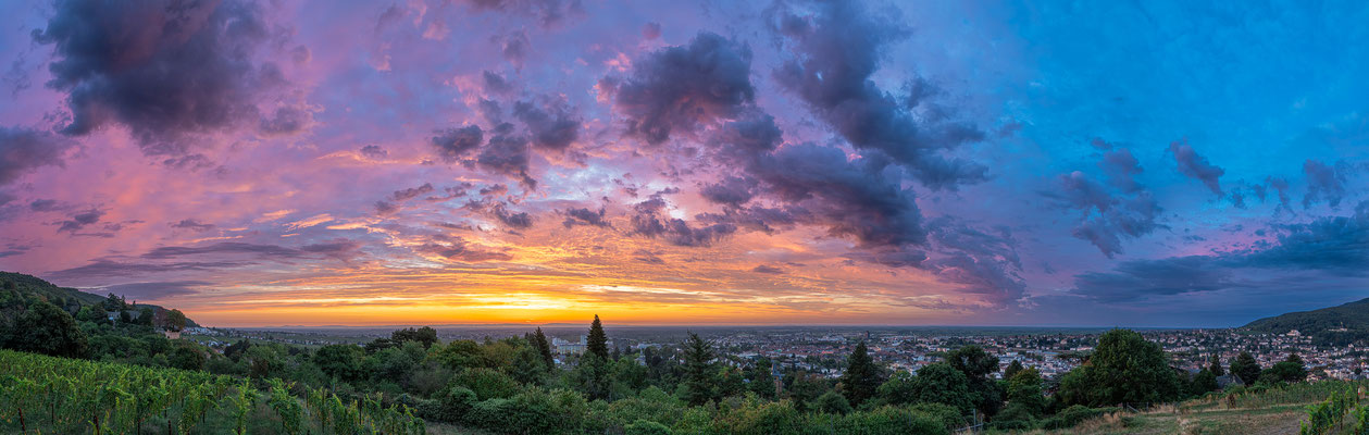 Sonnenaufgang über Neustadt