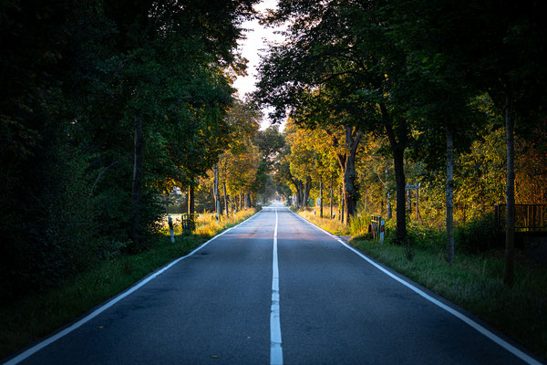 Sonnenaufgang bei Hassloch