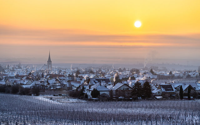 Wintermorgen bei Maikammer