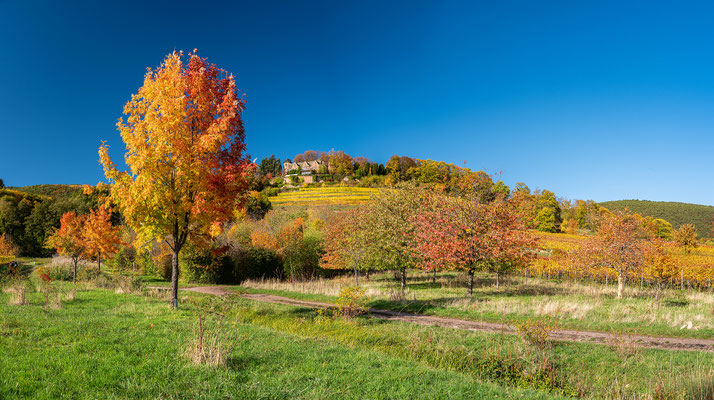 Goldener Herbst bei Sankt Martin