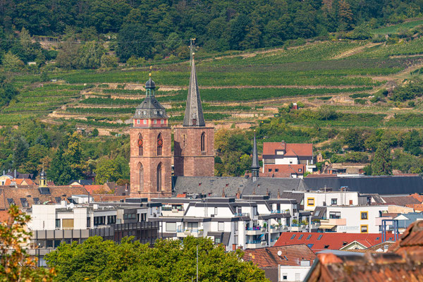 Blick auf die Stiftskirche