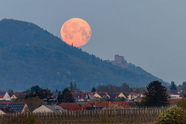 Vollmonduntergang hinter der Burg Trifels