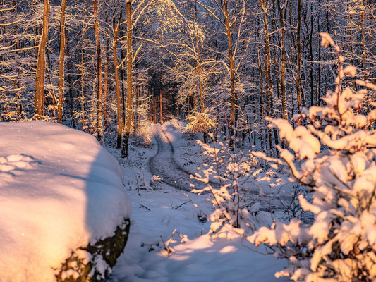 Schneefall und Morgenrot am Kirschfels