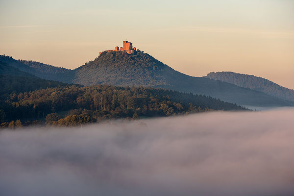 Blick zum Trifels an einem Nebelmorgen