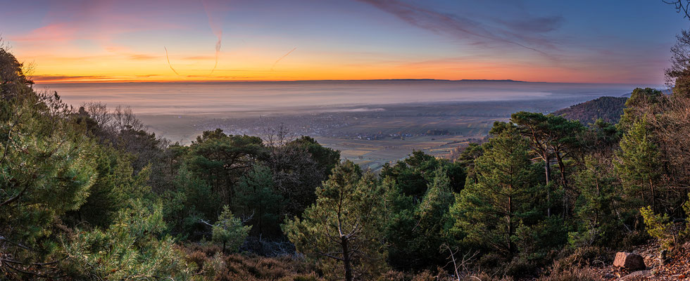 Blick in Richtung Südpfalz