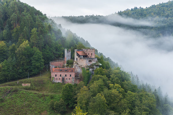 Morgennebel über der Burg Spangenberg