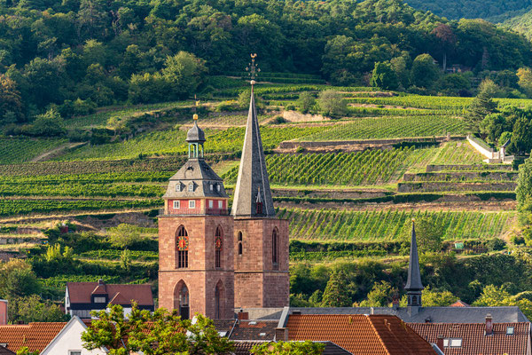 Blick auf die Stiftskirche